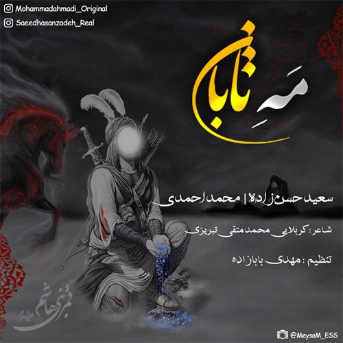 محمد احمدی و سعید حسن زاده مه تابان